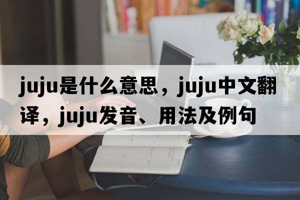 juju是什么意思，juju中文翻譯，juju發(fā)音、用法及例句