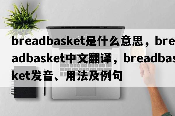 breadbasket是什么意思，breadbasket中文翻譯，breadbasket發(fā)音、用法及例句