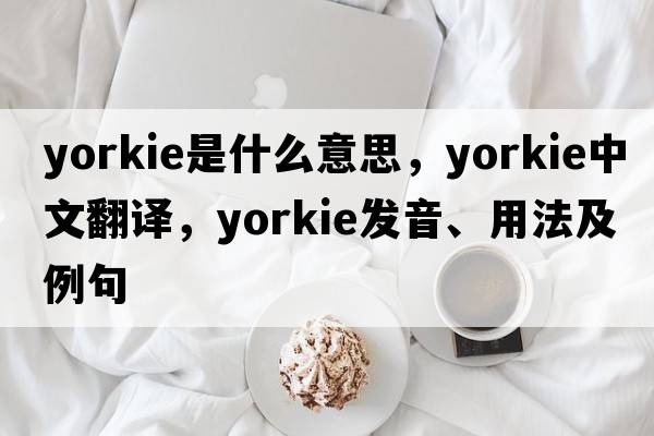 yorkie是什么意思，yorkie中文翻譯，yorkie發(fā)音、用法及例句