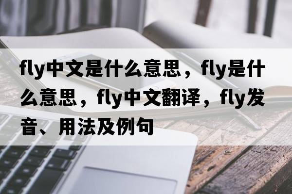 fly中文是什么意思，fly是什么意思，fly中文翻譯，fly發(fā)音、用法及例句