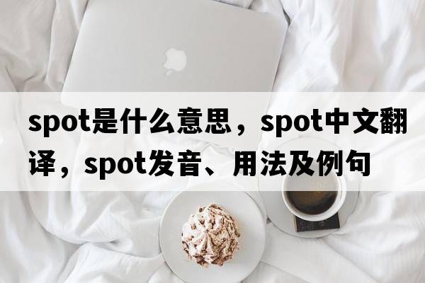 spot是什么意思，spot中文翻譯，spot發(fā)音、用法及例句
