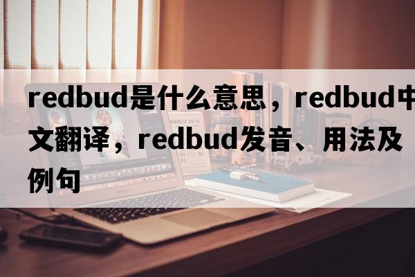 redbud是什么意思，redbud中文翻譯，redbud發(fā)音、用法及例句