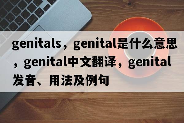 genitals，genital是什么意思，genital中文翻譯，genital發(fā)音、用法及例句