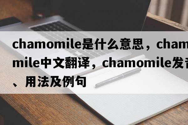 chamomile是什么意思，chamomile中文翻譯，chamomile發(fā)音、用法及例句