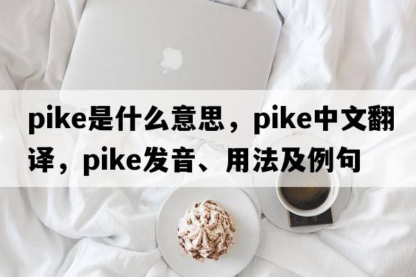 pike是什么意思，pike中文翻譯，pike發(fā)音、用法及例句