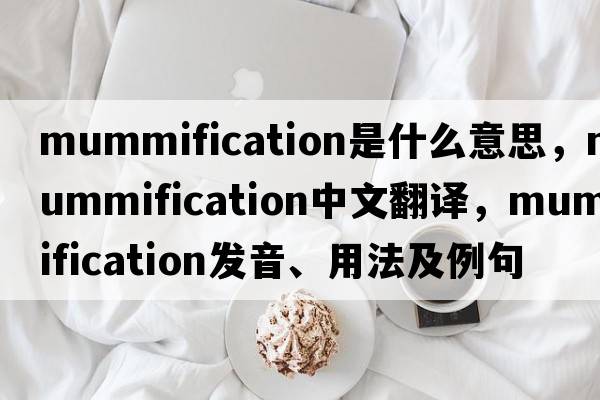 mummification是什么意思，mummification中文翻譯，mummification發(fā)音、用法及例句