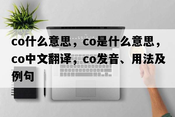 co什么意思，Co是什么意思，Co中文翻譯，Co發(fā)音、用法及例句