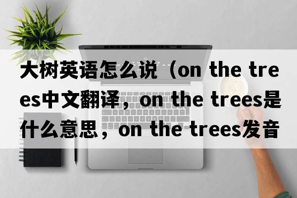大樹(shù)英語(yǔ)怎么說(shuō)（on the trees中文翻譯，on the trees是什么意思，on the trees發(fā)音、用法及例句）