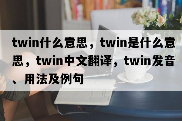 twin什么意思，twin是什么意思，twin中文翻譯，twin發(fā)音、用法及例句