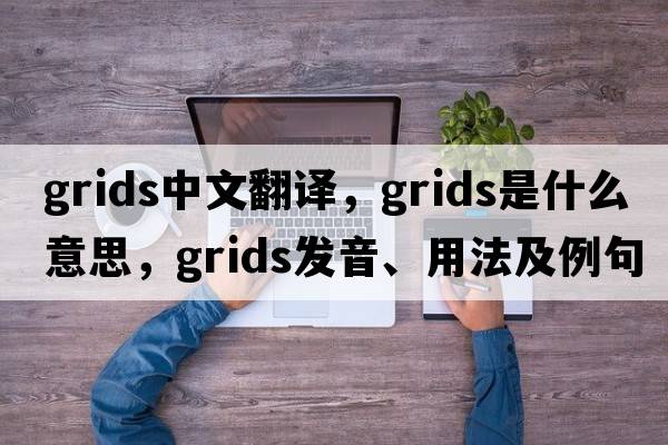 grids中文翻譯，grids是什么意思，grids發(fā)音、用法及例句