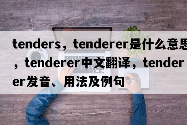 tenders，tenderer是什么意思，tenderer中文翻譯，tenderer發(fā)音、用法及例句