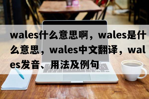 wales什么意思啊，Wales是什么意思，Wales中文翻譯，Wales發(fā)音、用法及例句