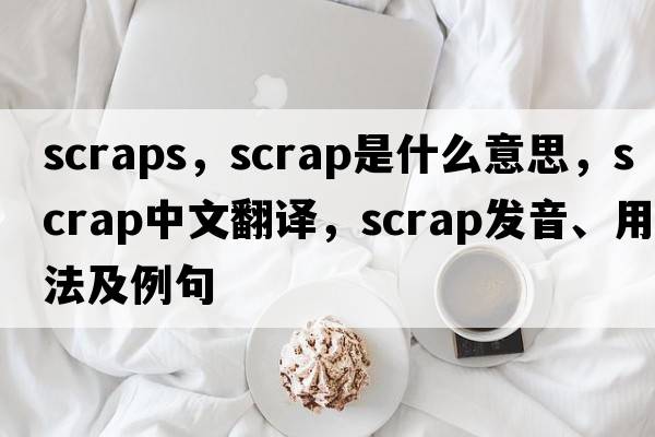 scraps，scrap是什么意思，scrap中文翻譯，scrap發(fā)音、用法及例句