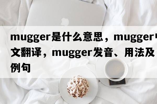 mugger是什么意思，mugger中文翻譯，mugger發(fā)音、用法及例句