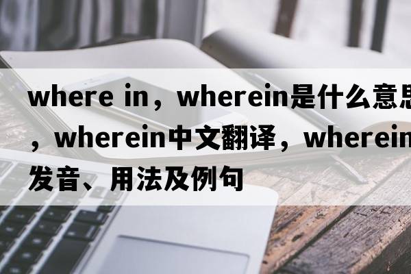 where in，wherein是什么意思，wherein中文翻譯，wherein發(fā)音、用法及例句