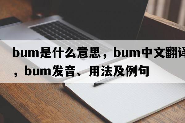 bum是什么意思，bum中文翻譯，bum發(fā)音、用法及例句