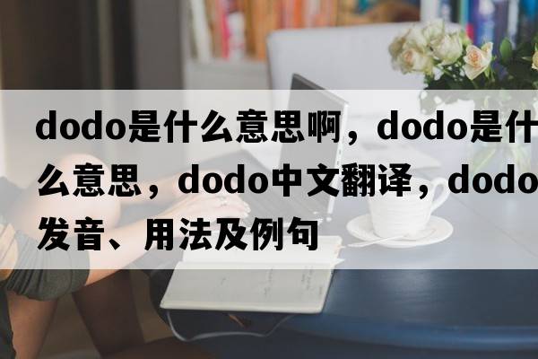 dodo是什么意思啊，dodo是什么意思，dodo中文翻譯，dodo發(fā)音、用法及例句