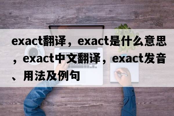 exact翻譯，exact是什么意思，exact中文翻譯，exact發(fā)音、用法及例句