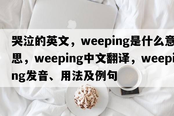 哭泣的英文，weeping是什么意思，weeping中文翻譯，weeping發(fā)音、用法及例句