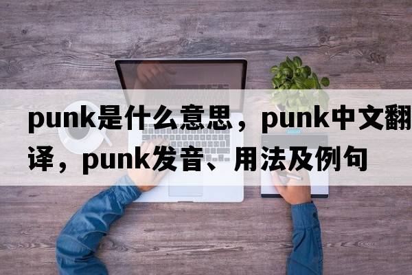 punk是什么意思，punk中文翻譯，punk發(fā)音、用法及例句