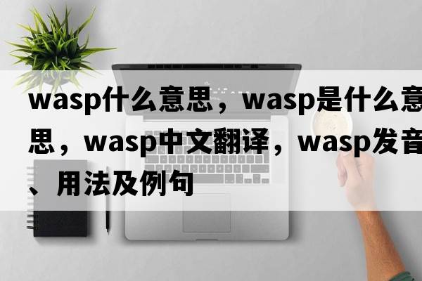wasp什么意思，wasp是什么意思，wasp中文翻譯，wasp發(fā)音、用法及例句