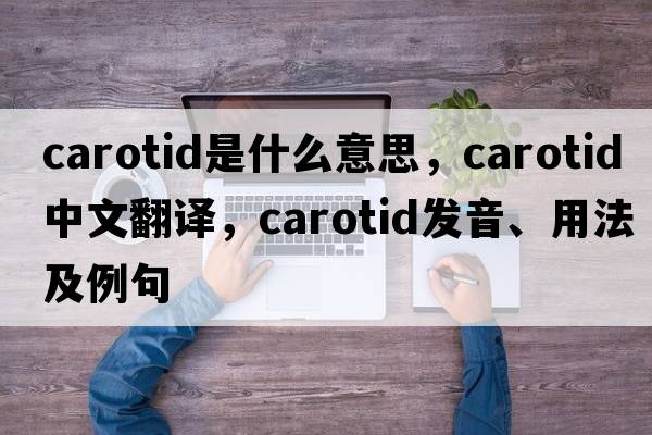 carotid是什么意思，carotid中文翻譯，carotid發(fā)音、用法及例句