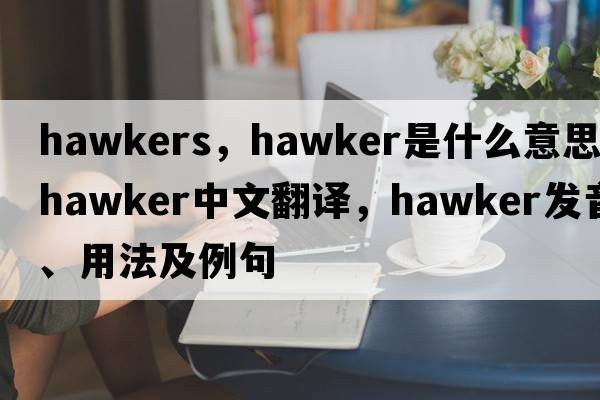 hawkers，hawker是什么意思，hawker中文翻譯，hawker發(fā)音、用法及例句