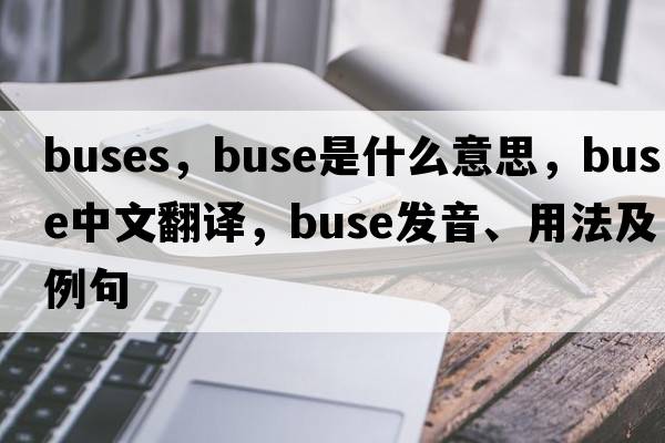 buses，buse是什么意思，buse中文翻譯，buse發(fā)音、用法及例句
