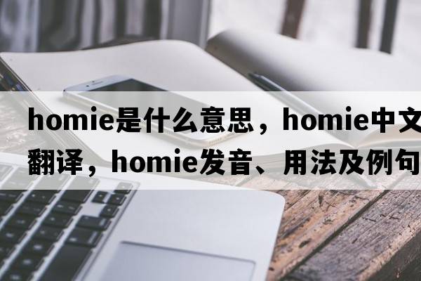 homie是什么意思，homie中文翻譯，homie發(fā)音、用法及例句