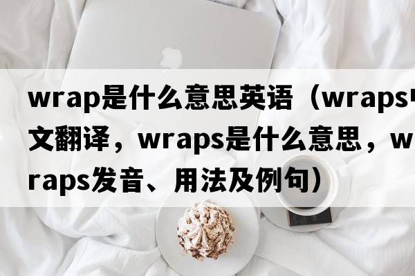 wrap是什么意思英語(yǔ)（wraps中文翻譯，wraps是什么意思，wraps發(fā)音、用法及例句）