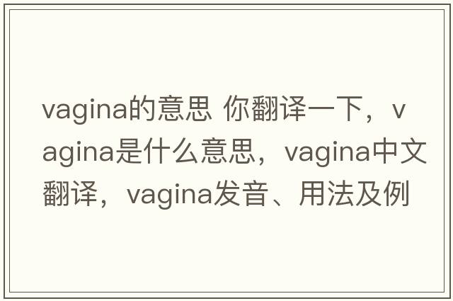 vagina的意思 你翻譯一下，vagina是什么意思，vagina中文翻譯，vagina發(fā)音、用法及例句