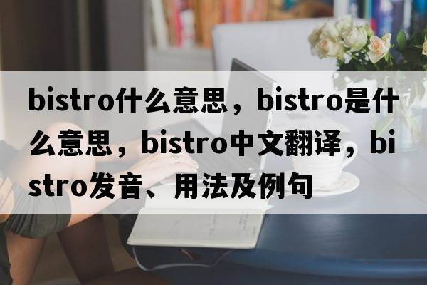 bistro什么意思，bistro是什么意思，bistro中文翻譯，bistro發(fā)音、用法及例句
