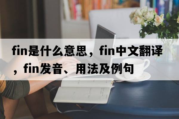 fin是什么意思，fin中文翻譯，fin發(fā)音、用法及例句