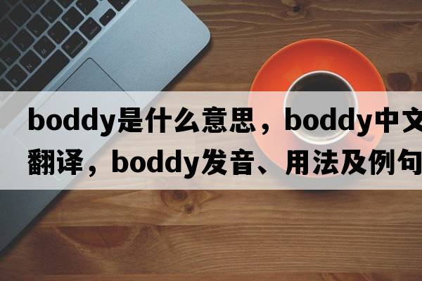 Boddy是什么意思，Boddy中文翻譯，Boddy發(fā)音、用法及例句