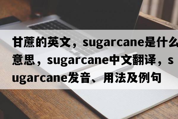 甘蔗的英文，sugarcane是什么意思，sugarcane中文翻譯，sugarcane發(fā)音、用法及例句