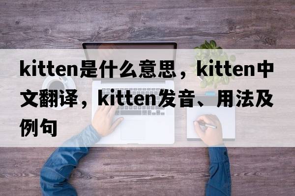 kitten是什么意思，kitten中文翻譯，kitten發(fā)音、用法及例句