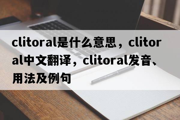 clitoral是什么意思，clitoral中文翻譯，clitoral發(fā)音、用法及例句