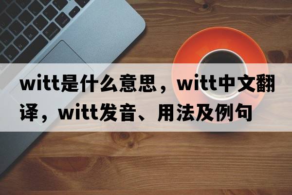 witt是什么意思，witt中文翻譯，witt發(fā)音、用法及例句