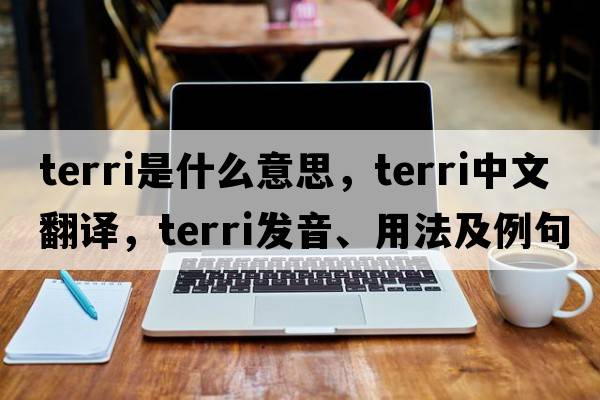 Terri是什么意思，Terri中文翻譯，Terri發(fā)音、用法及例句