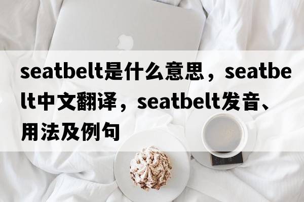 seatbelt是什么意思，seatbelt中文翻譯，seatbelt發(fā)音、用法及例句