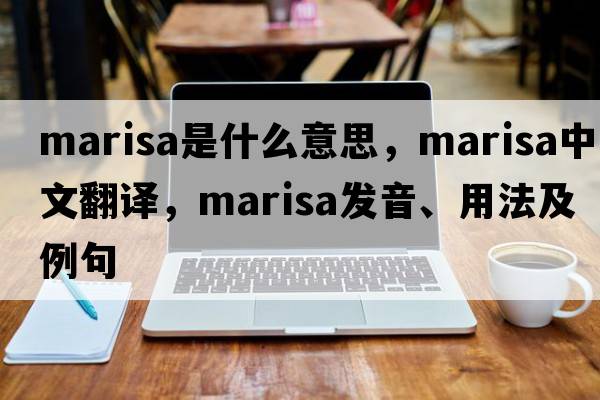 Marisa是什么意思，Marisa中文翻譯，Marisa發(fā)音、用法及例句