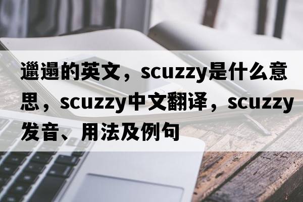 邋遢的英文，scuzzy是什么意思，scuzzy中文翻譯，scuzzy發(fā)音、用法及例句