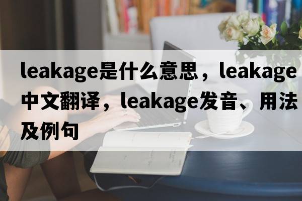 leakage是什么意思，leakage中文翻譯，leakage發(fā)音、用法及例句