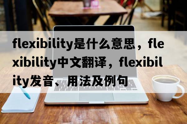 flexibility是什么意思，flexibility中文翻譯，flexibility發(fā)音、用法及例句