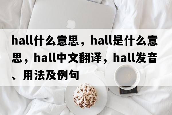 hall什么意思，hall是什么意思，hall中文翻譯，hall發(fā)音、用法及例句