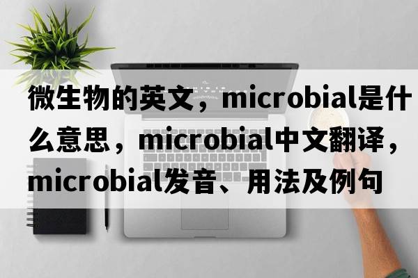 微生物的英文，microbial是什么意思，microbial中文翻譯，microbial發(fā)音、用法及例句