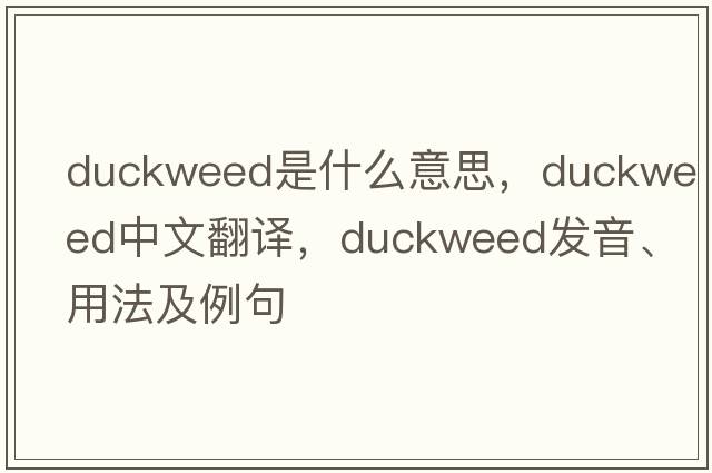 duckweed是什么意思，duckweed中文翻譯，duckweed發(fā)音、用法及例句