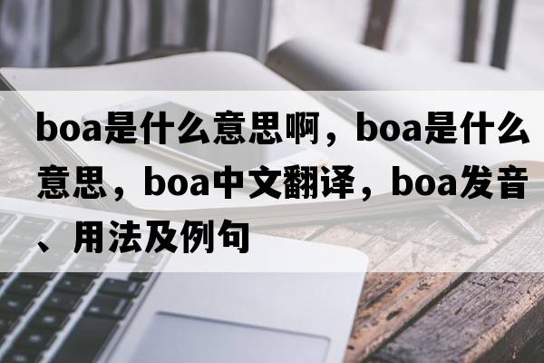boa是什么意思啊，boa是什么意思，boa中文翻譯，boa發(fā)音、用法及例句