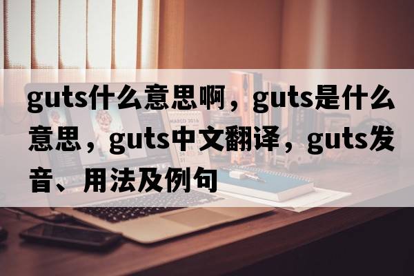 guts什么意思啊，guts是什么意思，guts中文翻譯，guts發(fā)音、用法及例句