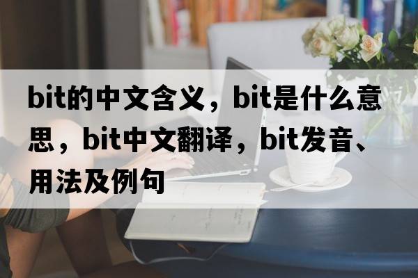 bit的中文含義，bit是什么意思，bit中文翻譯，bit發(fā)音、用法及例句